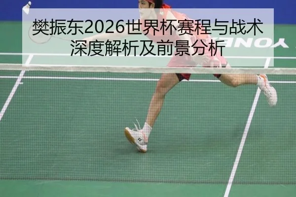 樊振东2026世界杯赛程与战术深度解析及前景分析