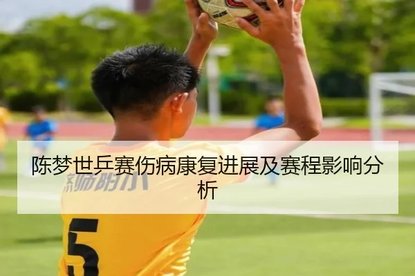 陈梦世乒赛伤病康复进展及赛程影响分析